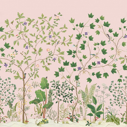 Флизелиновые обои Arboretum Sanderson 217213