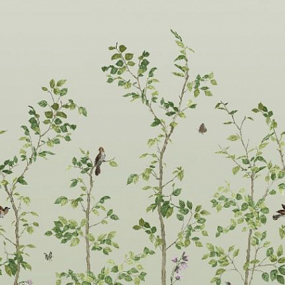 Флизелиновые обои National Trust Papers III Little Greene 0263BIPEAGR
