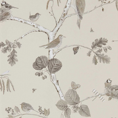 Флизелиновые обои Country Woodland Sanderson DWOW215704