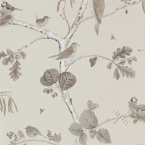 Флизелиновые обои Country Woodland Sanderson DWOW215704