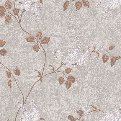 Флизелиновые обои Collection of flowers Cole & Son 81/3010