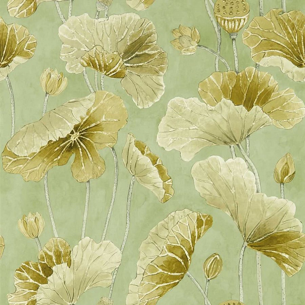 Флизелиновые обои Garden Sanderson DWAW217126
