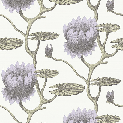 Флизелиновые обои Contemporary Restyled Cole & Son 95/4023