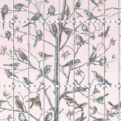 Флизелиновые обои Fornasetti Senza Tempo Cole & Son 114/11022