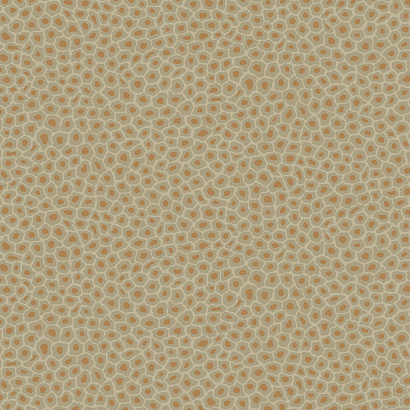 Флизелиновые обои Ardmore Cole & Son 109/6029