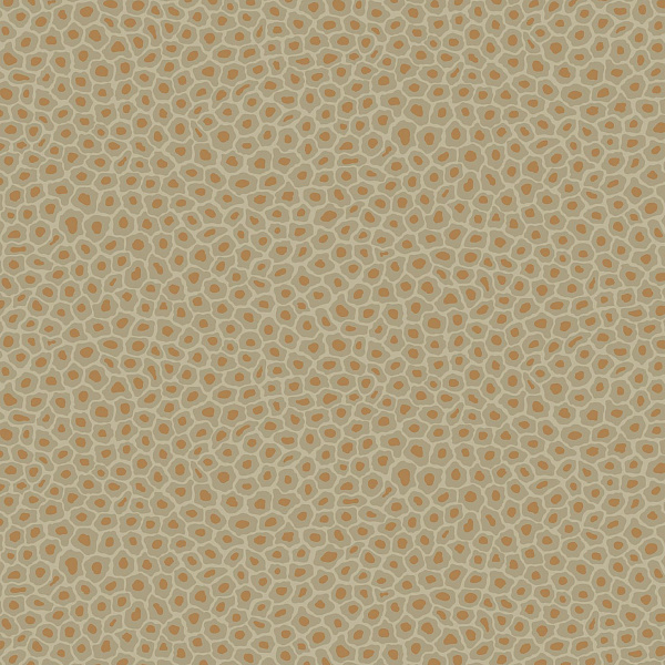 Флизелиновые обои Ardmore Cole & Son 109/6029