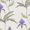Флизелиновые обои New Contemporary Cole & Son 66/4024