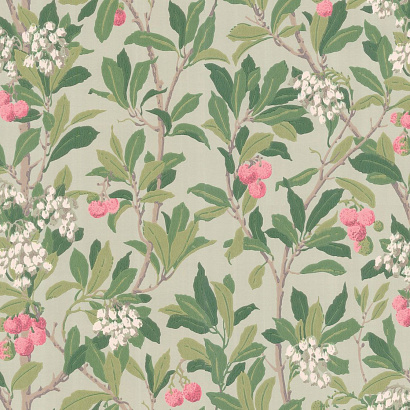 Флизелиновые обои Archive Anthology Cole & Son 100/10048