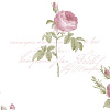 Виниловые обои Rose Garden Aura CG28820