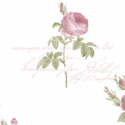 Виниловые обои Rose Garden Aura CG28820