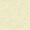 Флизелиновые обои Plains&Textures Architector 1221503
