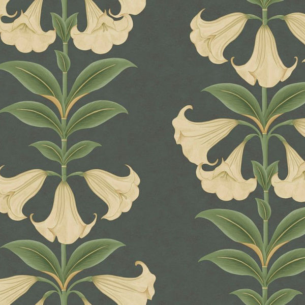 Флизелиновые обои Seville Cole & Son 117/3006