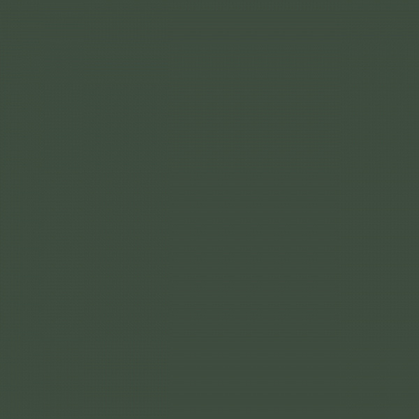 Флизелиновые обои Шервуд Loymina Brit27 005/1