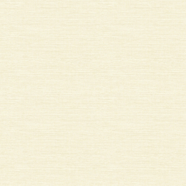 Флизелиновые обои Theory Aura FD24280