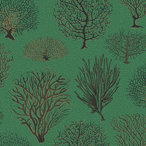 Флизелиновые обои Curio Cole & Son 107/2007