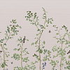 Флизелиновые обои National Trust Papers III Little Greene 0263BICHINA
