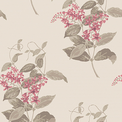 Флизелиновые обои Archive Anthology Cole & Son 100/12058