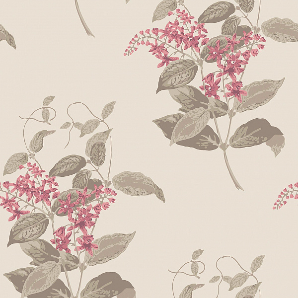Флизелиновые обои Archive Anthology Cole & Son 100/12058