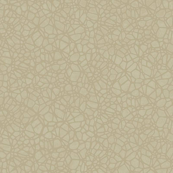 Флизелиновые обои Sahara Architector SH00623