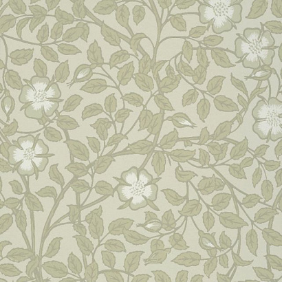 Флизелиновые обои National Trust Papers III Little Greene 0263BRGSTON