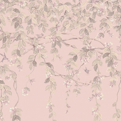 Флизелиновые обои Selection of Hummingbirds Cole & Son 124/2014