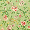 Флизелиновые обои Garden Sanderson DCAVPO101