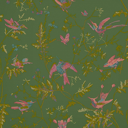 Флизелиновые обои Selection of Hummingbirds Cole & Son 124/1005