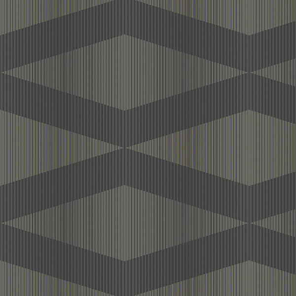Флизелиновые обои Black and White Architector ZN51100