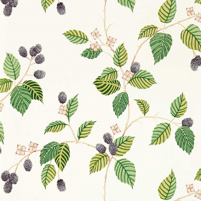 Флизелиновые обои Arboretum Sanderson 217227