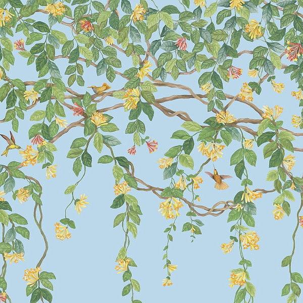 Флизелиновые обои Selection of Hummingbirds Cole & Son 124/2011