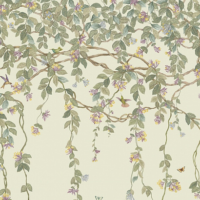 Флизелиновые обои Selection of Hummingbirds Cole & Son 124/2013
