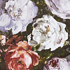 Флизелиновые обои Botanica Clarke&Clarke W0090/03