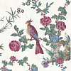 Флизелиновые обои Archive Trails Little Greene 0247DASEREI