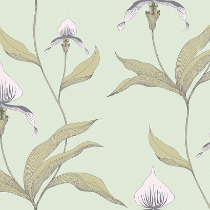 Флизелиновые обои New Contemporary Cole & Son 66/4028
