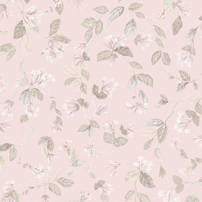 Флизелиновые обои Selection of Hummingbirds Cole & Son 124/3021