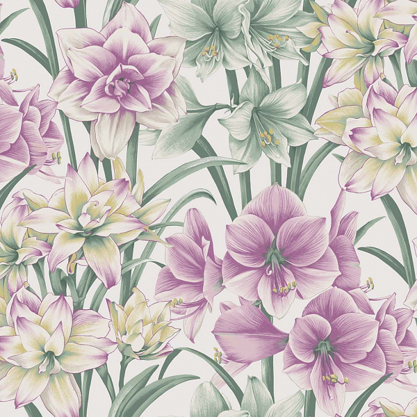 Флизелиновые обои Historic Royal Palaces Cole & Son 98/6024