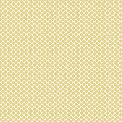 Бумажные обои Conservatory York Wallcoverings CY1529