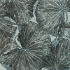 Флизелиновые обои The Muse Wallcoverings Zoffany 312751
