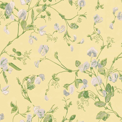 Флизелиновые обои Archive Anthology Cole & Son 100/6029