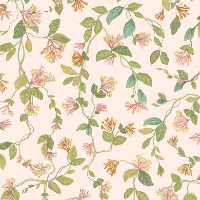 Флизелиновые обои Selection of Hummingbirds Cole & Son 124/3016
