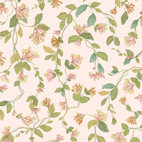 Флизелиновые обои Selection of Hummingbirds Cole & Son 124/3016