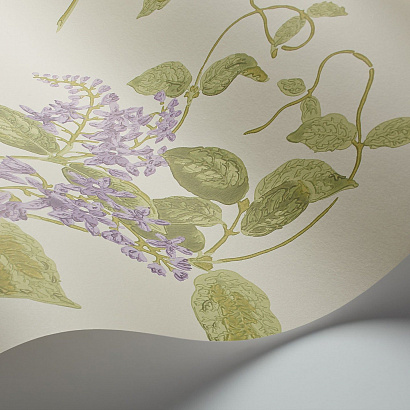 Флизелиновые обои Archive Anthology Cole & Son 100/12056