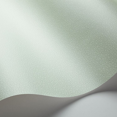 Флизелиновые обои Landscape Plains Cole & Son 106/2028