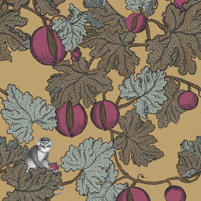 Флизелиновые обои Fornasetti Senza Tempo Cole & Son 114/25049