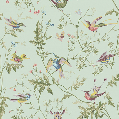 Флизелиновые обои Selection of Hummingbirds Cole & Son 124/1007