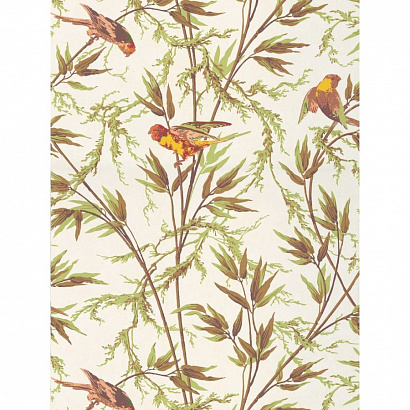 Флизелиновые обои National Trust Papers IV Little Greene 0267GOGALET