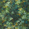 Виниловые обои Exotica 2 Clarke&Clarke W0140/03