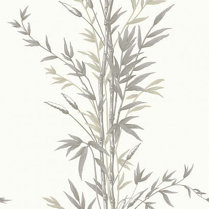 Флизелиновые обои Archive Anthology Cole & Son 100/5025
