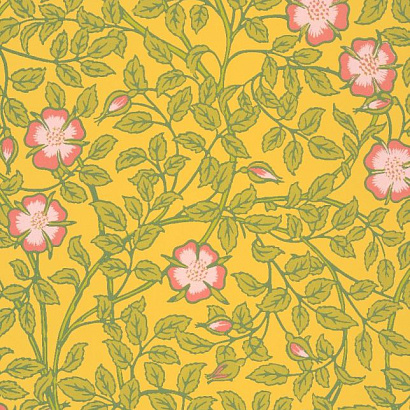 Флизелиновые обои National Trust Papers III Little Greene 0263BRINDIA