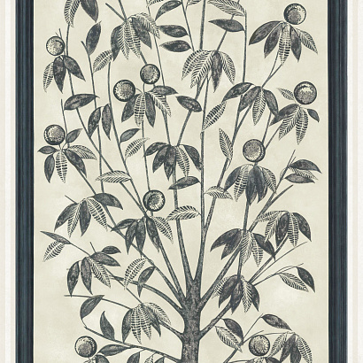 Флизелиновые обои Martyn Lawrence Bullard Cole & Son 113/14043